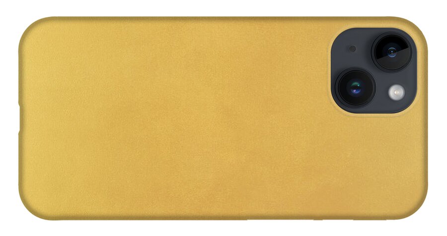 Minimalist iPhone Case featuring the painting Gold Dust by Tamara Nelson