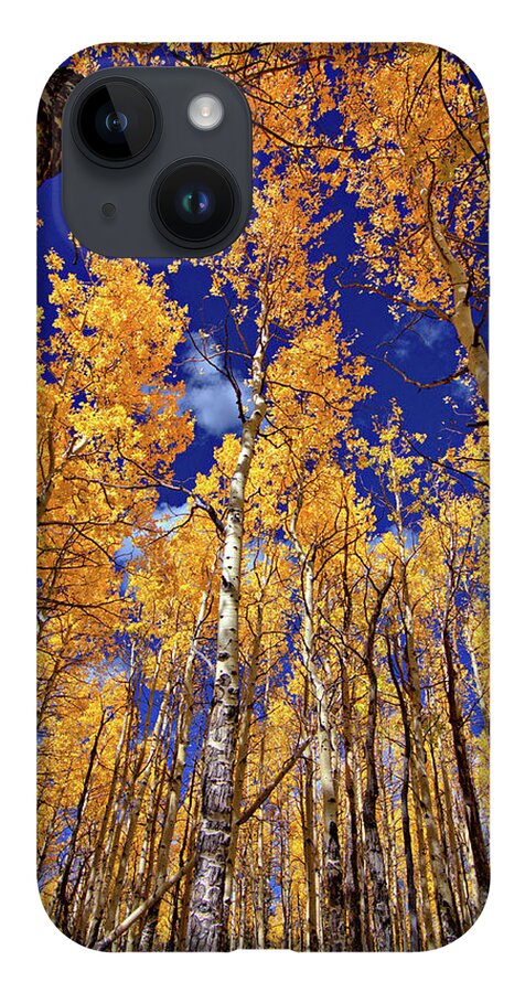 Fall Colors iPhone Case featuring the photograph Golden Aspens by Bob Falcone
