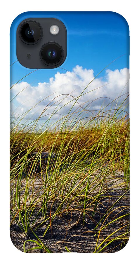 Clouds iPhone 14 Case featuring the photograph Golden Dune Grasses II by Debra and Dave Vanderlaan