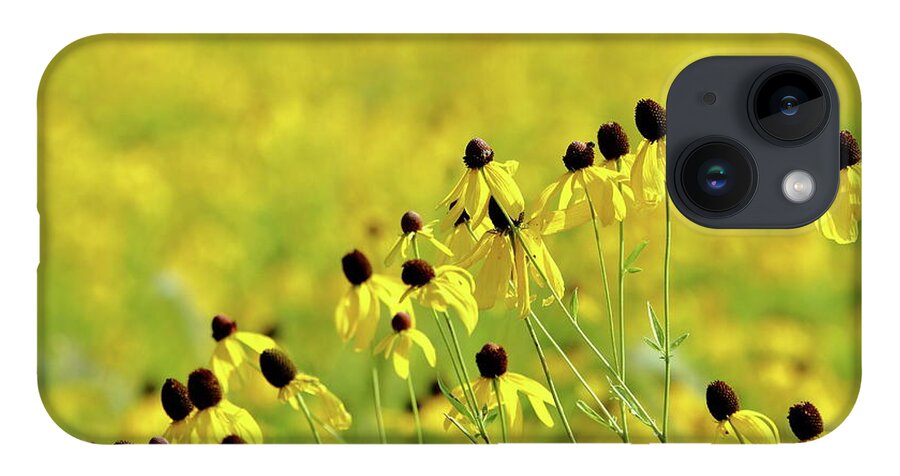 Nature iPhone 14 Case featuring the photograph Golden Prairie by Lens Art Photography By Larry Trager