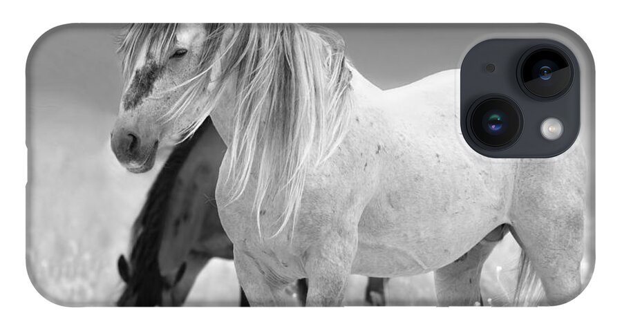 Stallion iPhone 14 Case featuring the photograph Goliath. by Paul Martin