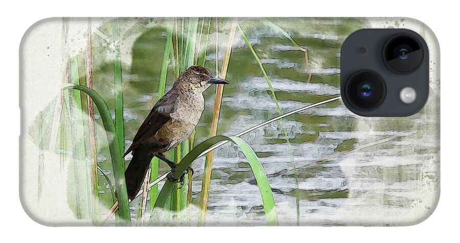 Grackle iPhone Case featuring the digital art Grackle by the Lake by Alison Frank