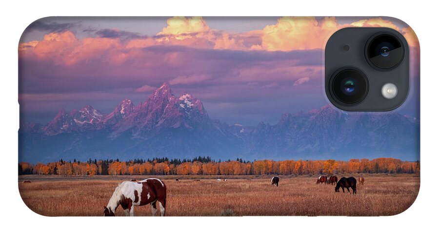 Grand Tetons iPhone 14 Case featuring the photograph Grand Teton Pasture by Wesley Aston