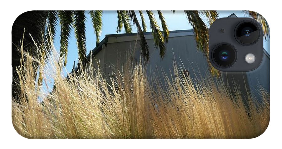 Palm Tree And Grass And Building iPhone 14 Case featuring the photograph Grass and Palm by John Parulis