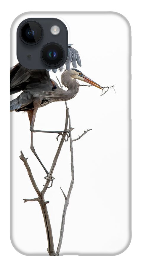 Stillwater Wildlife Refuge iPhone Case featuring the photograph Great Blue Heron 8 by Rick Mosher