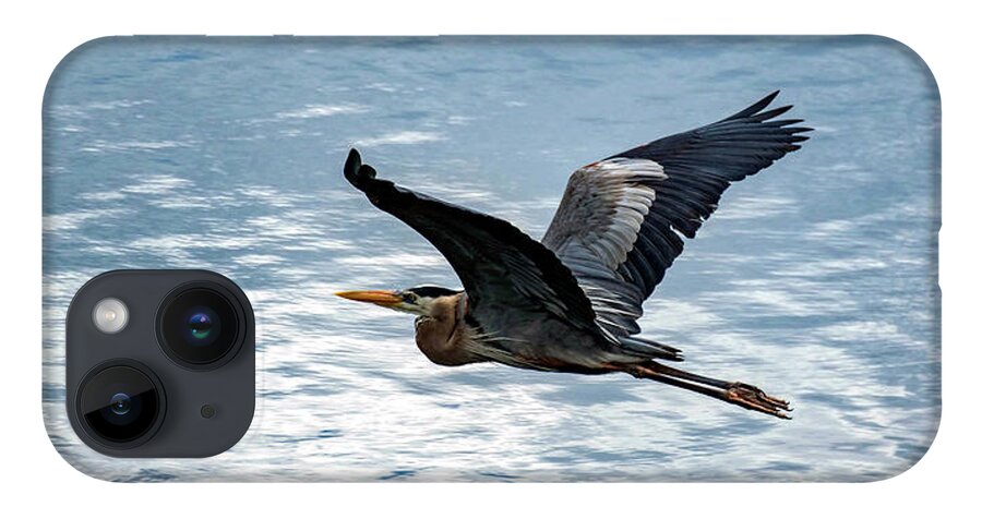 Great iPhone Case featuring the photograph Great Blue Heron In Flight by Beachtown Views