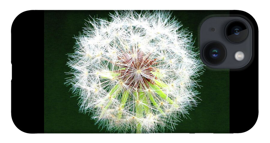 Dandelion iPhone 14 Case featuring the photograph Green Geometry by Larry Beat