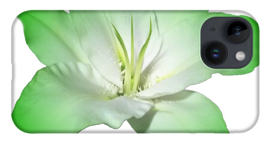 Green iPhone 14 Case featuring the photograph Green Lily Flower by Delynn Addams
