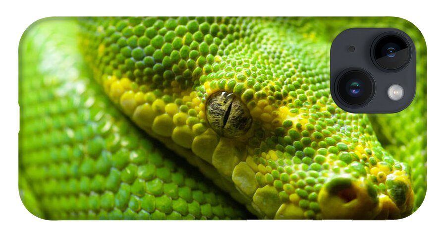 Green Tree Python iPhone 14 Case featuring the digital art Green tree python by Geir Rosset