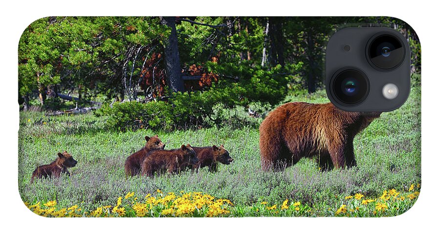 Grizzly 399 iPhone 14 Case featuring the photograph Grizzly 399 and Four Cubs by Greg Norrell
