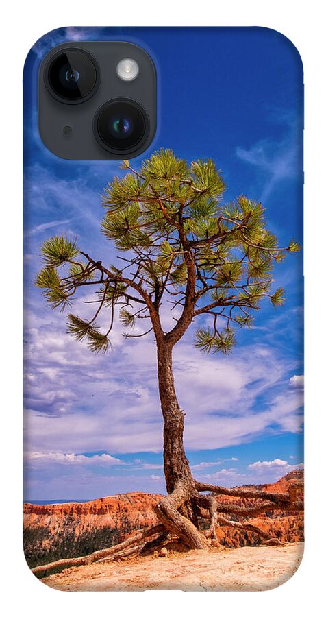 Bryce iPhone 14 Case featuring the photograph Hanging On by Phil Marty
