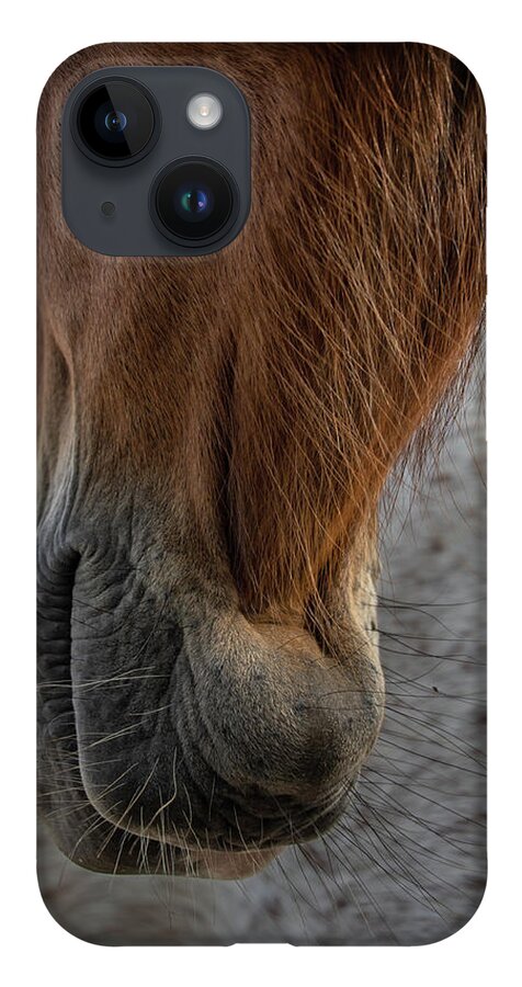Horses iPhone Case featuring the photograph Hanging Out by M Kathleen Warren
