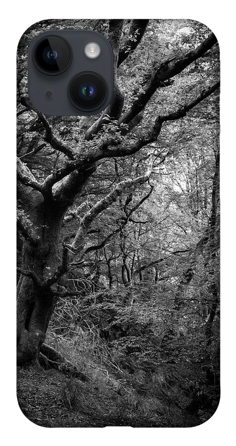 Tree iPhone 14 Case featuring the photograph Hello darkness by Gavin Lewis