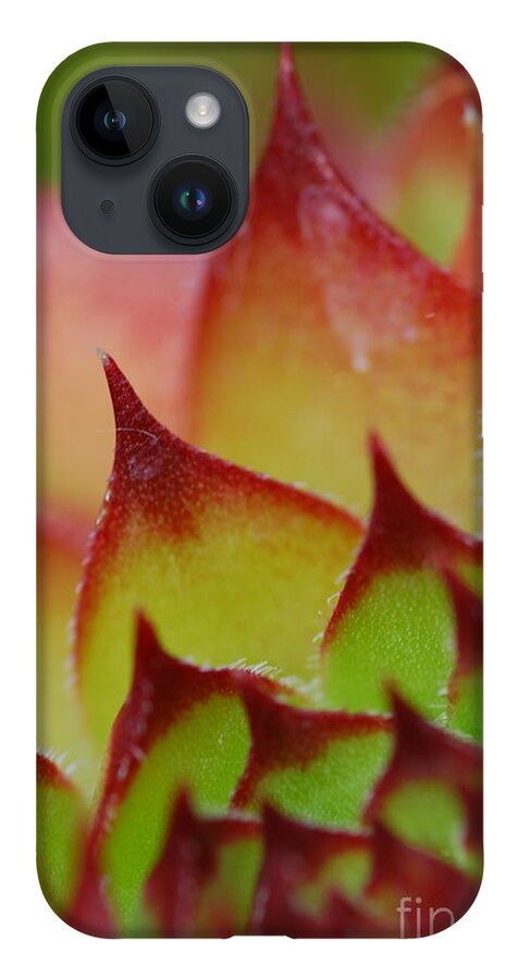 Hens And Chicks iPhone 14 Case featuring the photograph Hens And Chicks #10 by Stephanie Gambini
