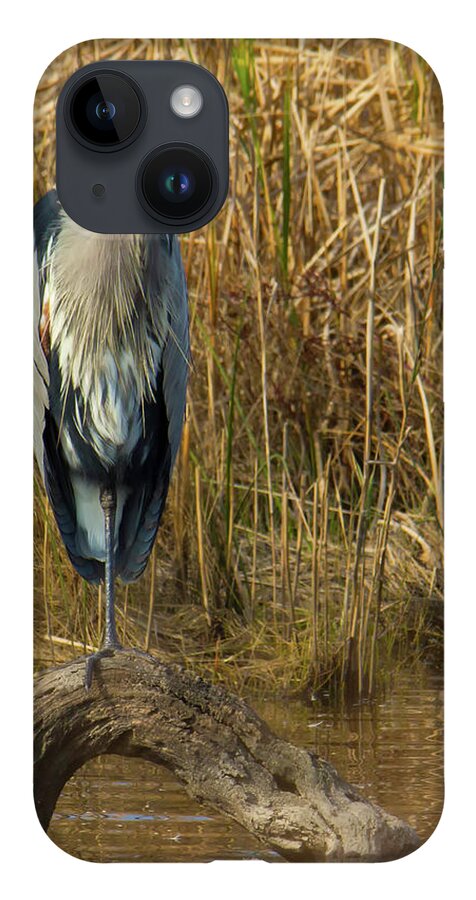 Animals iPhone 14 Case featuring the photograph Heron standing on log in water by Charles Floyd
