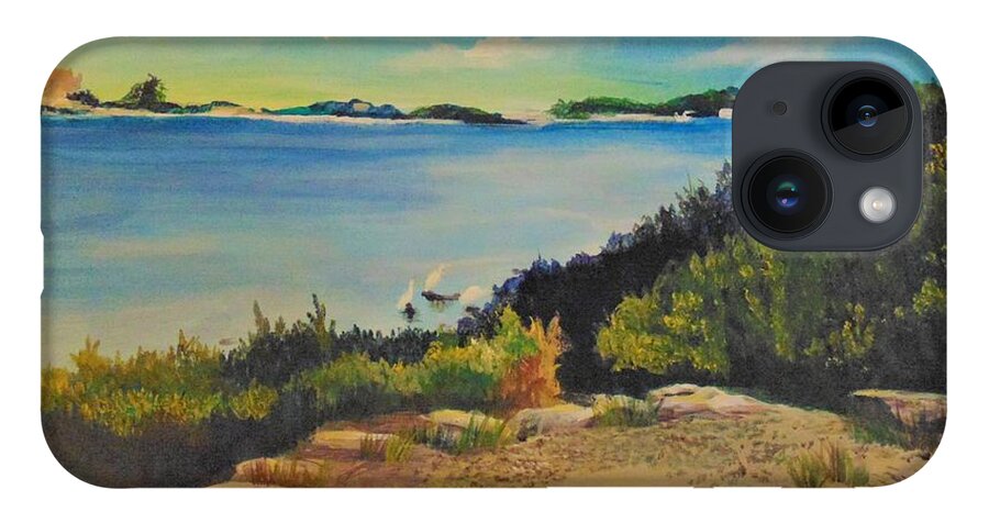Landscape iPhone Case featuring the painting Herons at Waterfront Park by Saundra Johnson
