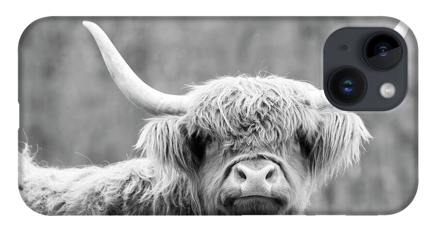 Cow iPhone 14 Case featuring the photograph Highland Coo by Holly Ross