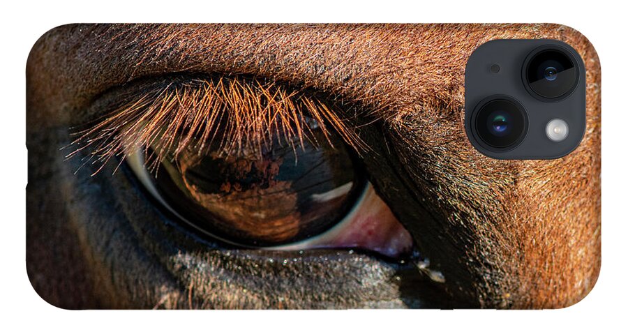Horse iPhone 14 Case featuring the photograph Horse Eye Close Up by Karen Rispin