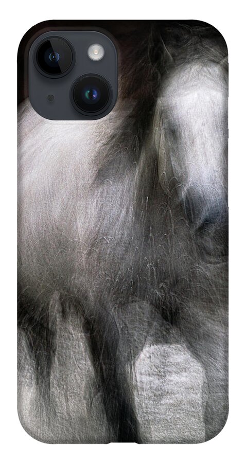 Landscape iPhone Case featuring the photograph Horse by Grant Galbraith