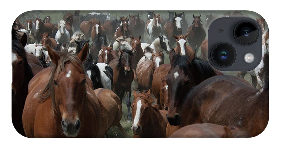 Herd iPhone 14 Case featuring the photograph Horse Herd 2 by Jody Miller