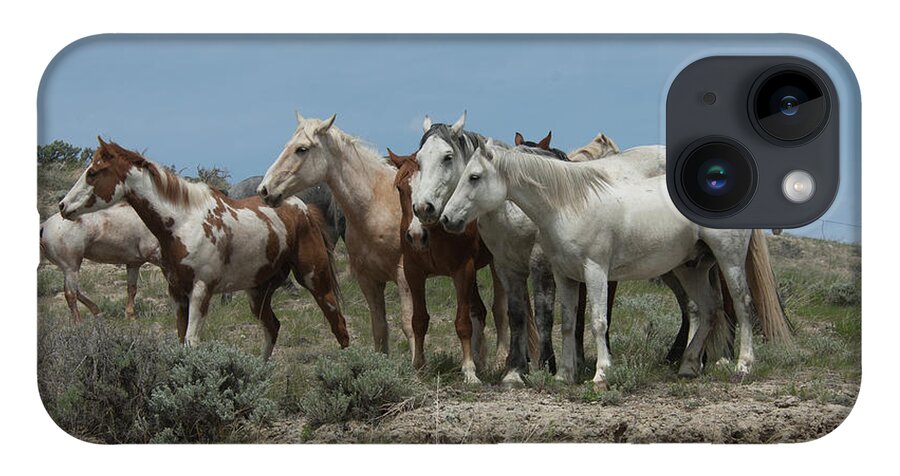 Herd iPhone 14 Case featuring the photograph Horse herd 4 by Jody Miller