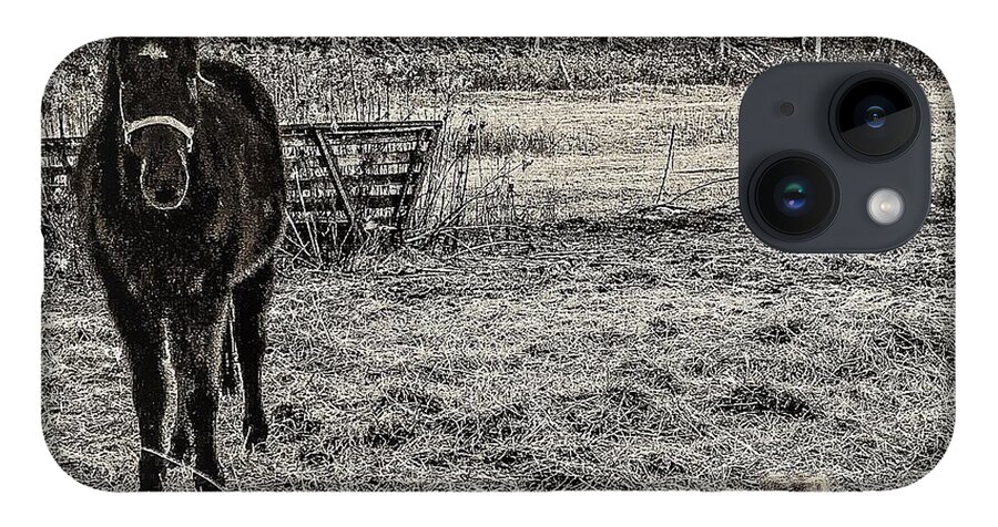 Horse Field Fence Trees Black White Hay iPhone Case featuring the photograph Horse by John Linnemeyer