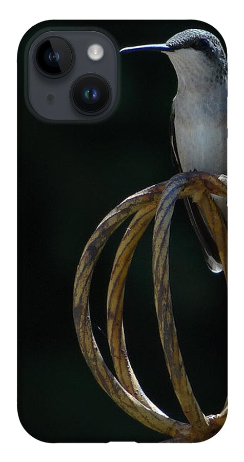 5 Star iPhone 14 Case featuring the photograph Hummers on Deck- 2-05 by Christopher Plummer
