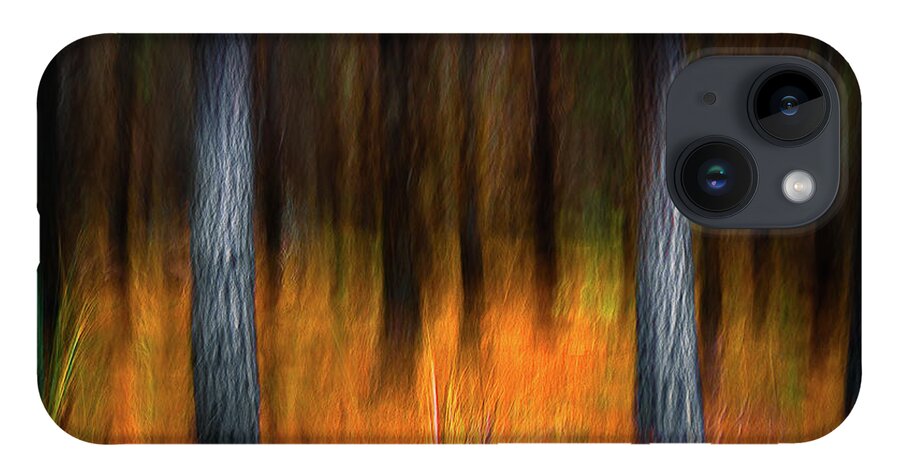 Landscape iPhone Case featuring the photograph In the Forest by Grant Galbraith