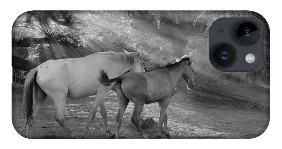 Stallion iPhone 14 Case featuring the photograph Into the Desert. by Paul Martin
