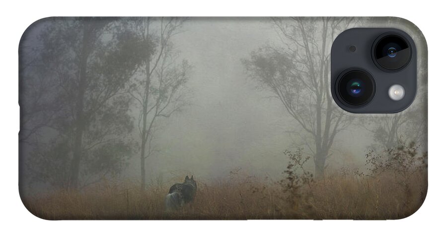 Fog iPhone Case featuring the digital art Into the Mist by Nicole Wilde