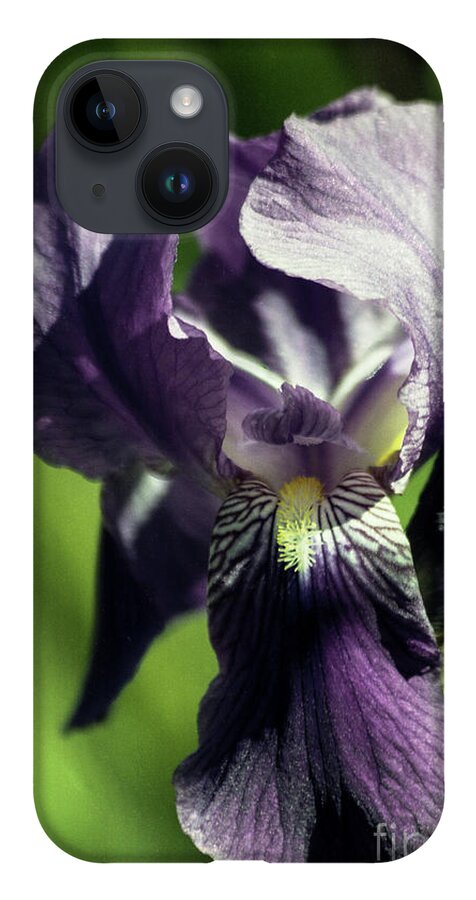 Arizona iPhone 14 Case featuring the photograph Into the World of the Iris by Kathy McClure