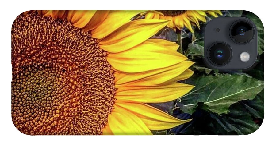 Iphonography iPhone 14 Case featuring the photograph Iphonography Sunflower 3 by Julie Powell