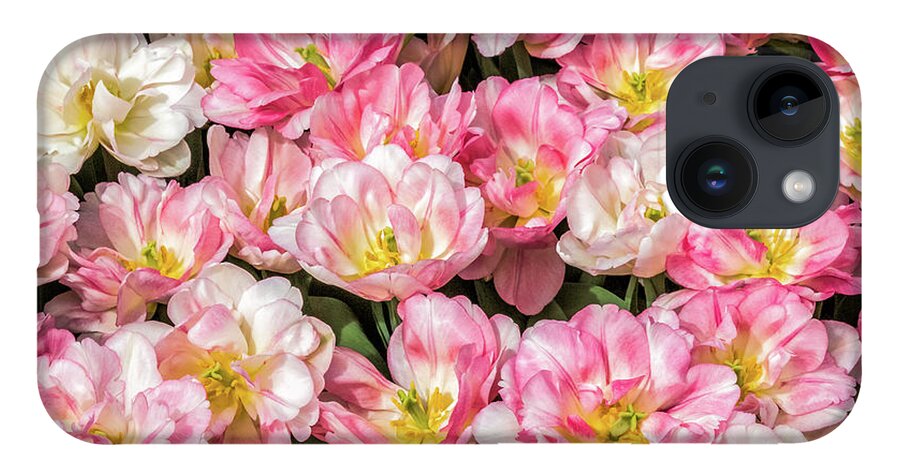 Tulips iPhone 14 Case featuring the photograph Irresistible Peach Blossom Tulips by Elvira Peretsman