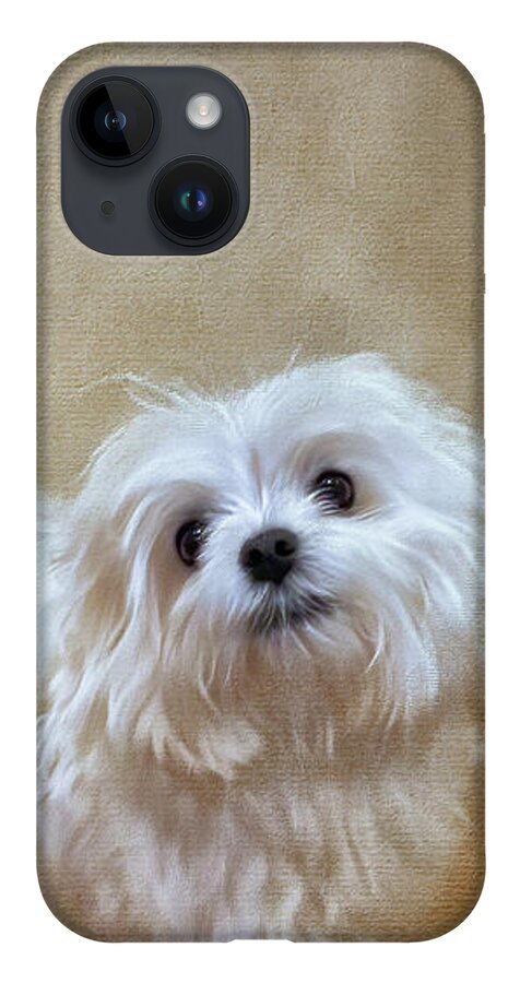 Pet iPhone 14 Case featuring the digital art Is It Cuddle Time Yet by Lois Bryan