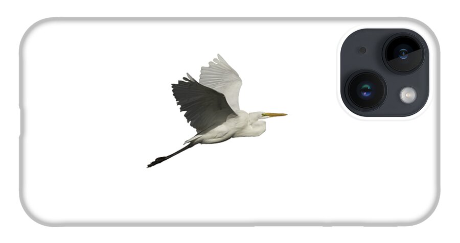 Great Egret iPhone 14 Case featuring the photograph Isolated Great Egret 2016 by Thomas Young