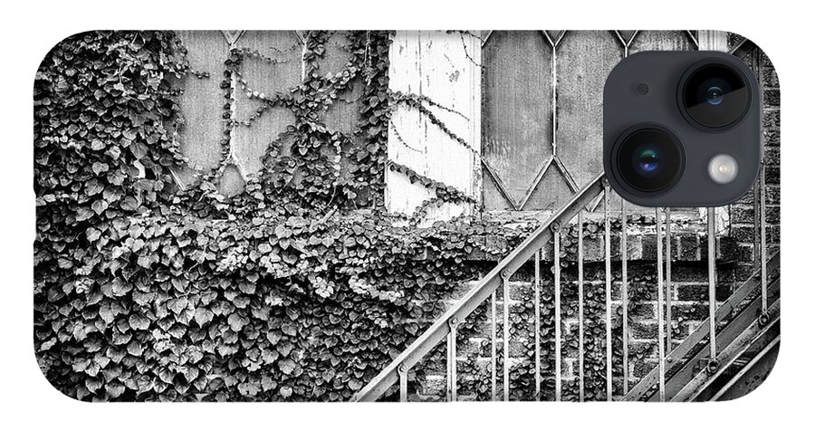  iPhone 14 Case featuring the photograph Ivy, Window And Stairs by Steve Stanger
