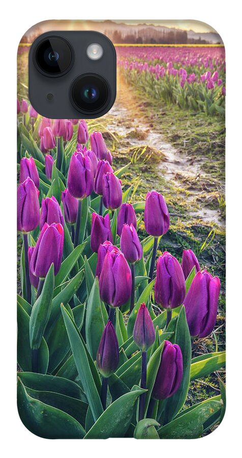 Tulips iPhone 14 Case featuring the photograph Jewel Tone Tulips by Michael Rauwolf