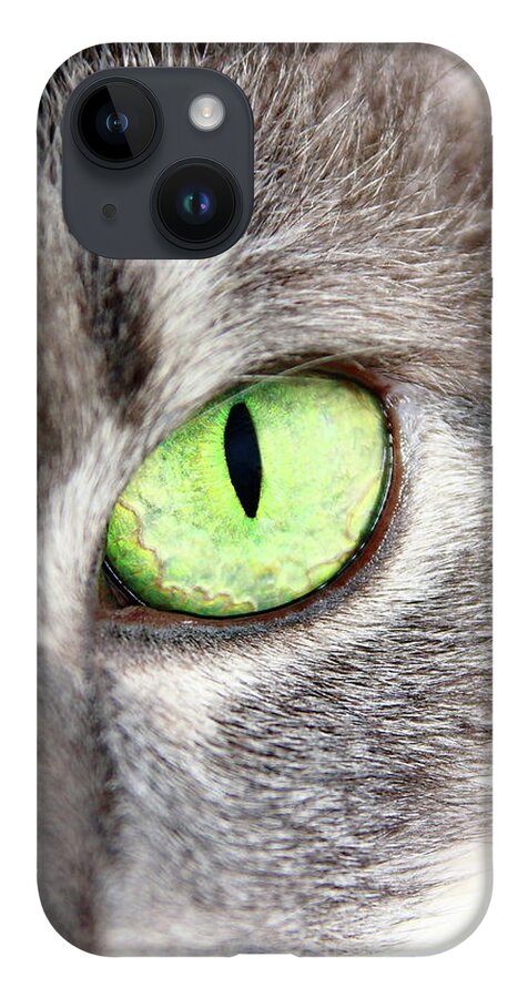 Cat iPhone Case featuring the photograph Keeping An Eye On You by Lens Art Photography By Larry Trager