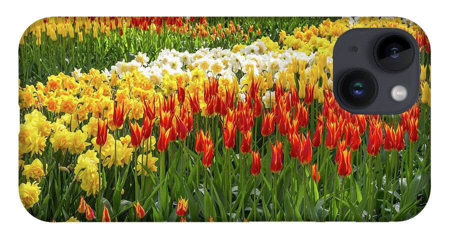 Europe iPhone Case featuring the photograph Keukenhof Gardens V by Jim Miller