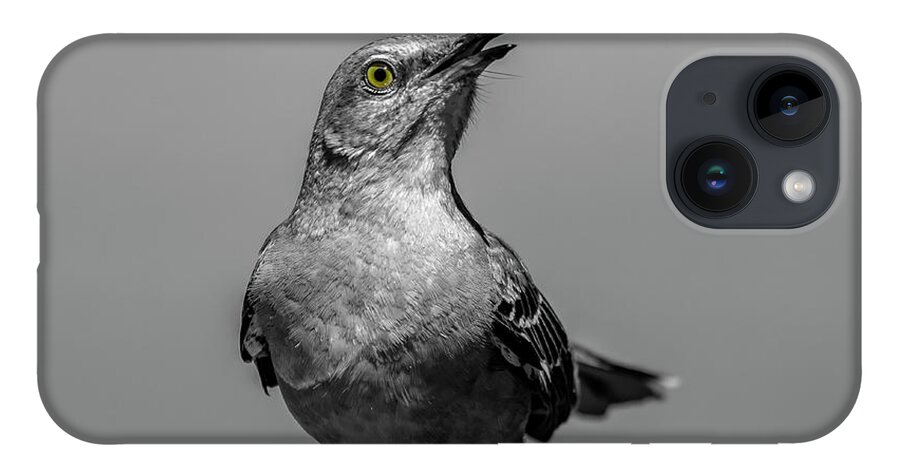 Bird iPhone 14 Case featuring the photograph Knee Deep by Cathy Kovarik