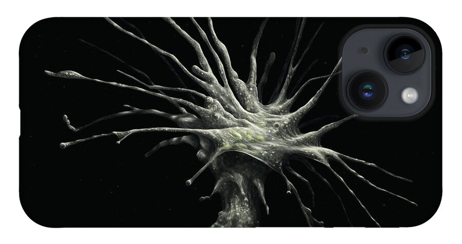 Protozoa iPhone 14 Case featuring the digital art Leptophrys Amoeba by Kate Solbakk