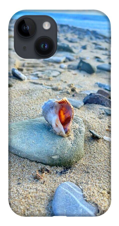 Bay iPhone 14 Case featuring the photograph Life of a Shell by Maya Mey Aroyo