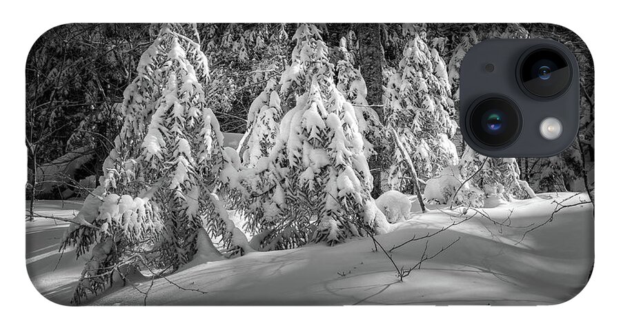 New Hampshire iPhone Case featuring the photograph Light In The Winter Wood by Jeff Sinon