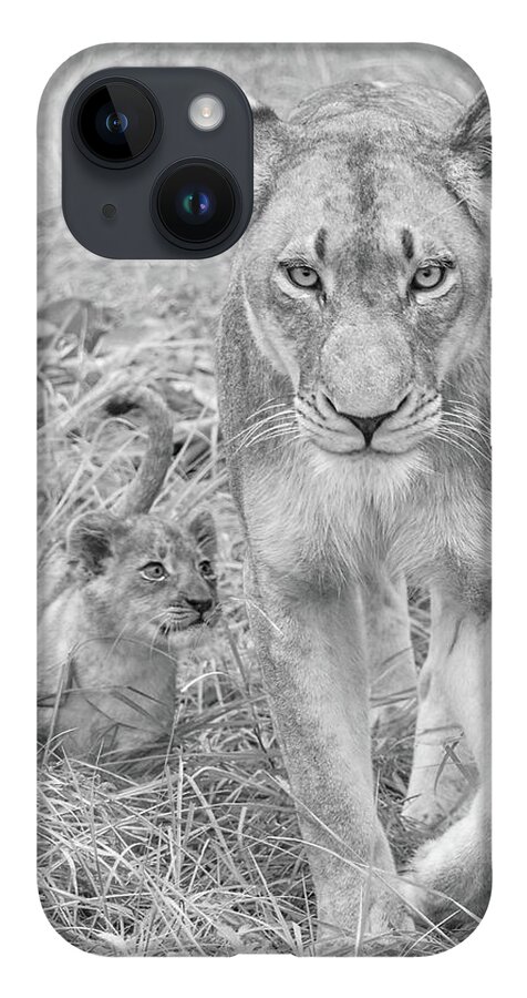 Lioness iPhone 14 Case featuring the photograph Lioness and Cub Walking by Rebecca Herranen