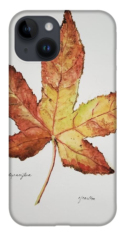 Botanical iPhone 14 Case featuring the painting Liquidambar 2- Watercolor by Claudette Carlton