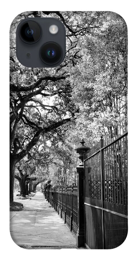 Live Oaks iPhone 14 Case featuring the photograph Live Oaks lining the Street by Mary Pille