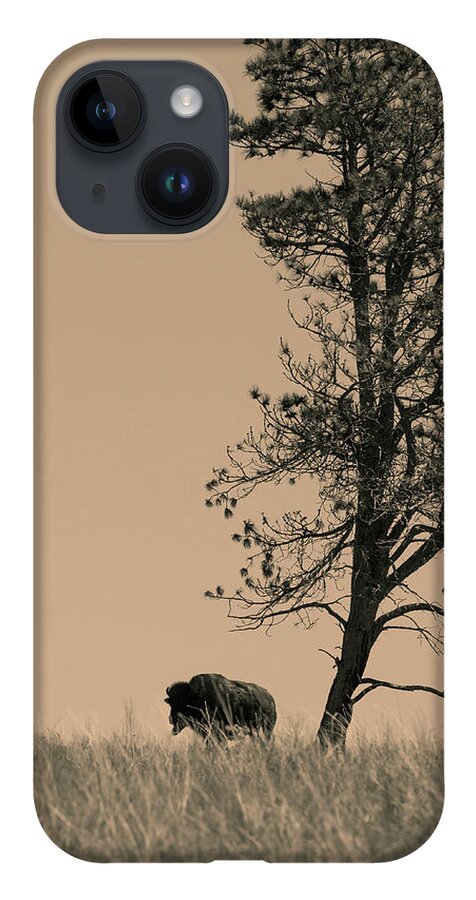 Bison iPhone 14 Case featuring the photograph Lone Bison by Larry Bohlin