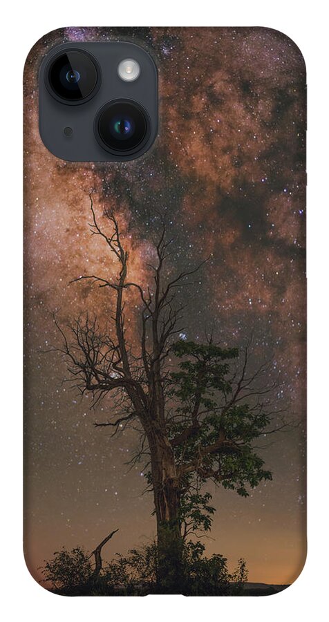 Nightscape iPhone 14 Case featuring the photograph Lone Tree by Grant Twiss