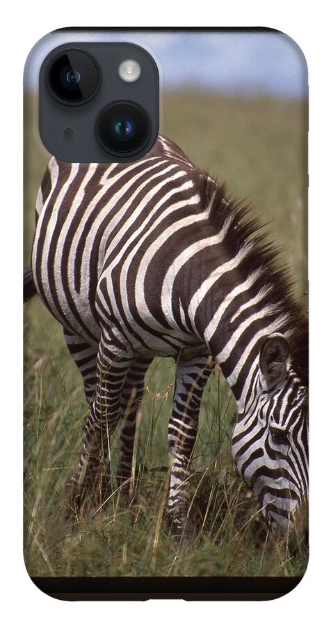 Africa iPhone 14 Case featuring the photograph Lone Zebra Eating grass by Russel Considine