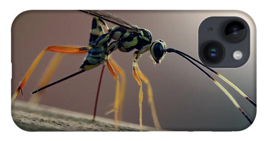 Insects iPhone 14 Case featuring the photograph Long Legged Alien by Jennifer Robin